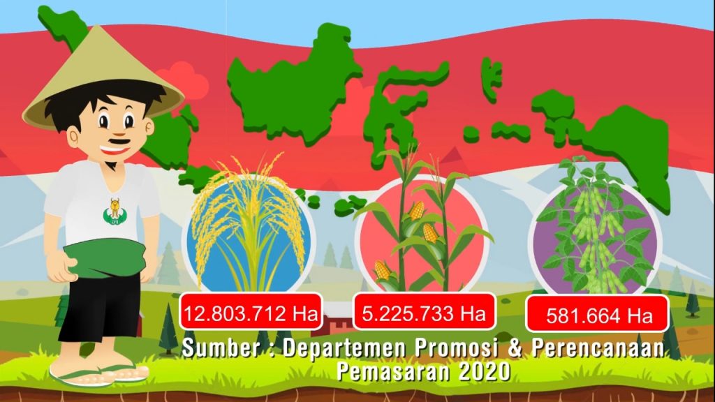 video animasi berkualitas