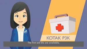 video safety profesional